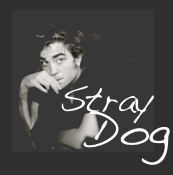 Stray Dog