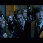 hogwarts-champion