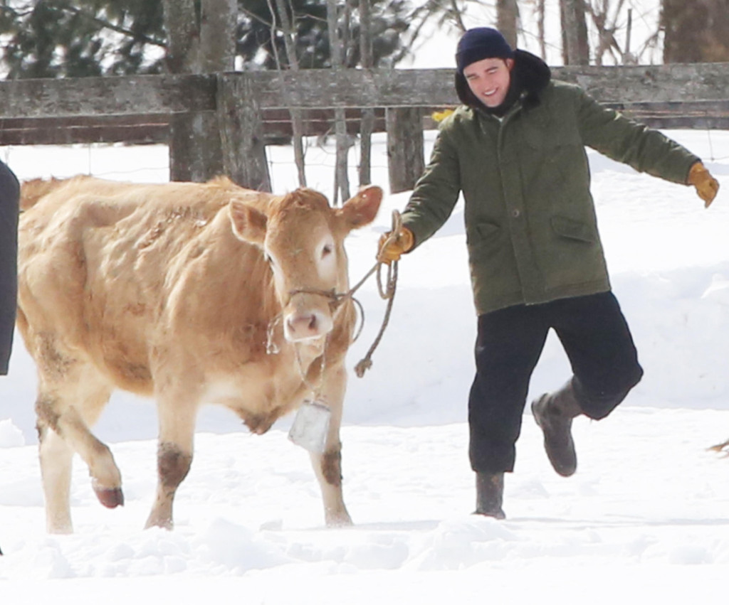 holycow