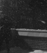 Filename=174.jpg
Filesize=490KiB
Dimensions=1920x1080
Date added=Apr 14, 2020 174.jpg