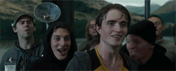 gif-cedhgf gif-cedhgf