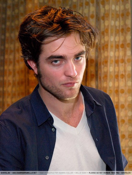 twilight-press-conference2-11-aug-081 twilight-press-conference2-11-aug-081