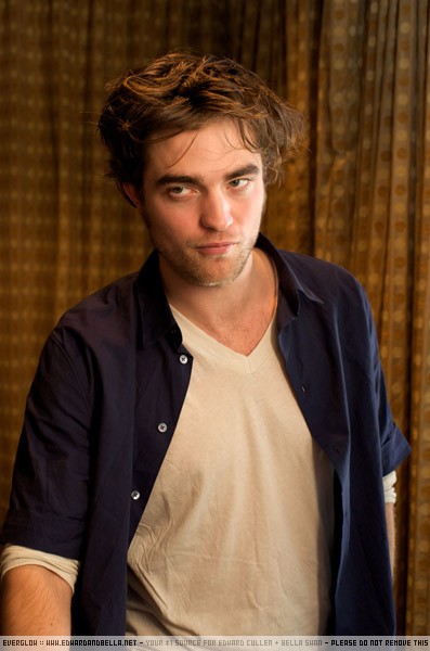 twilight-press-conference4-11-aug-08 twilight-press-conference4-11-aug-08