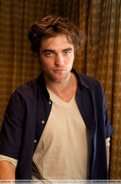 twilight-press-conference5-11-aug-08 twilight-press-conference5-11-aug-08