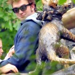 rob-on-statute_3 rob-on-statute_3