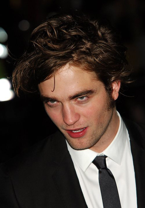 twilight premiere 888776 twilight premiere 5 031208