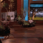 waving waving