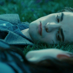 meadow meadow
