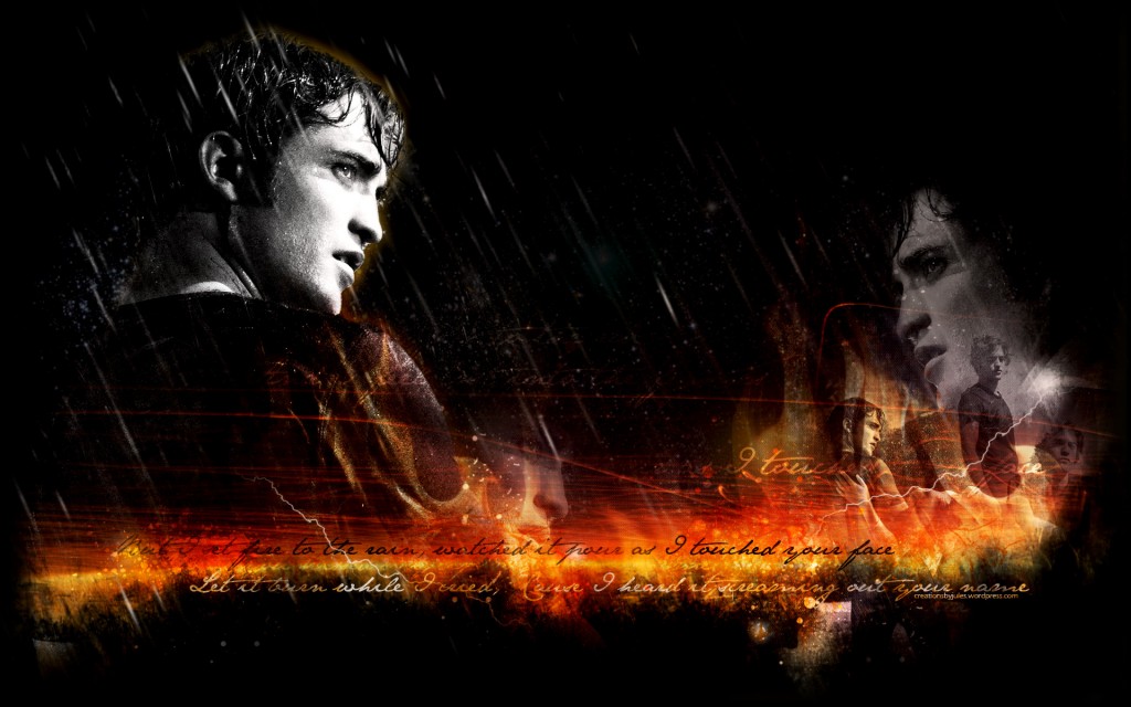 set-fire-to-the-rain_rob_wall