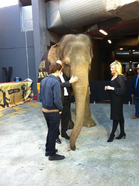 MelissaDoyle2