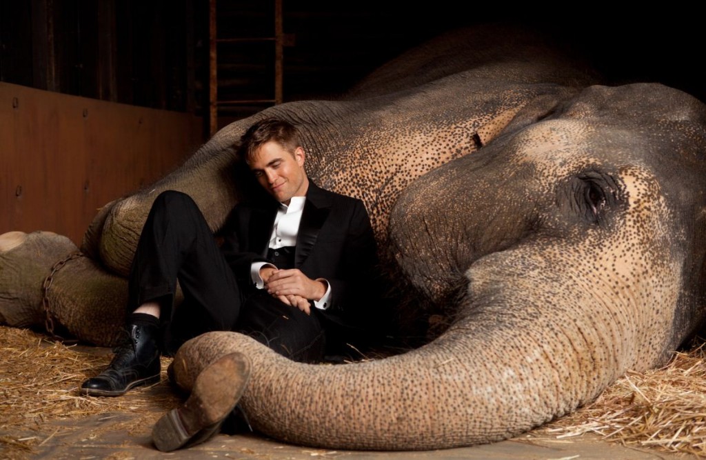 Rob & Tai