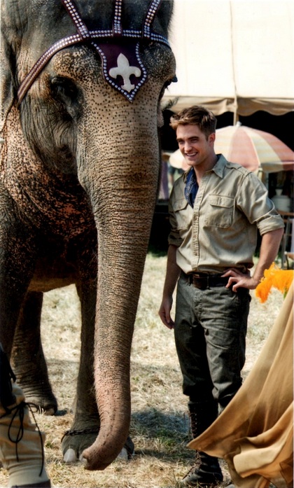 Rob&Tai