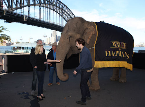 Sydney WFE PC (21)