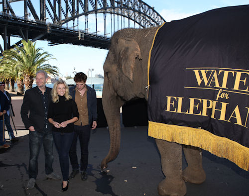 Sydney WFE PC (22)