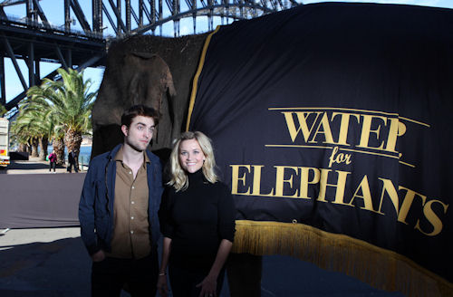 Sydney WFE PC (23)