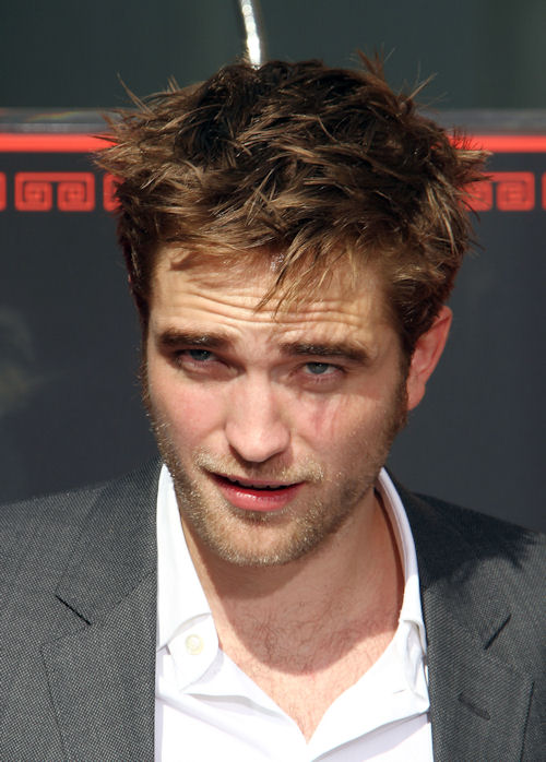 Rob Chinese Theatre 6